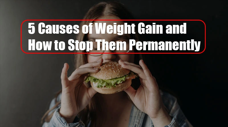 5 Causes of Weight Gain and How to Stop Them Permanently